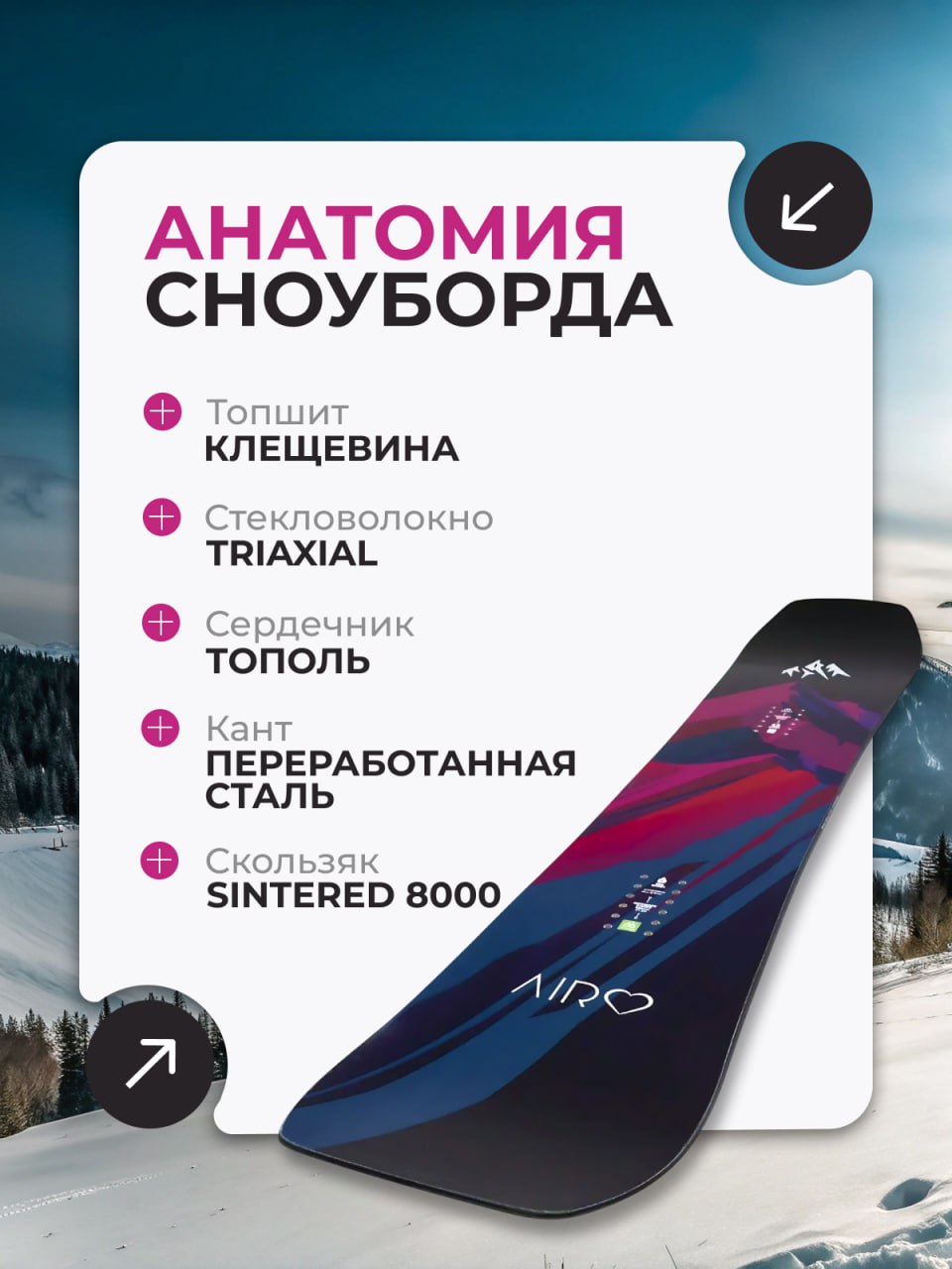 1000118896.jpg