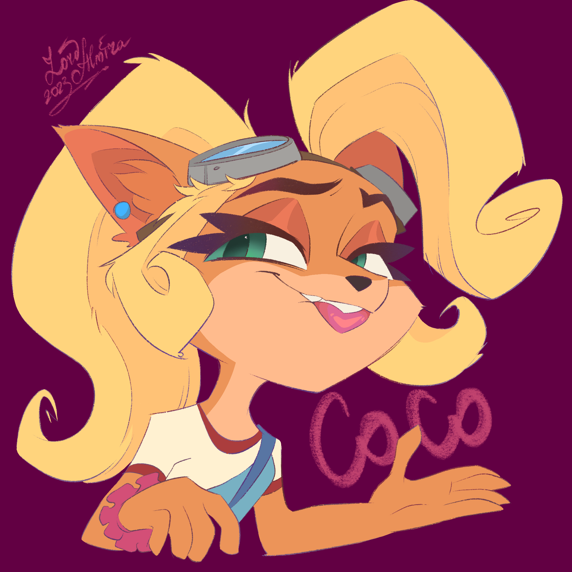 COCO.png