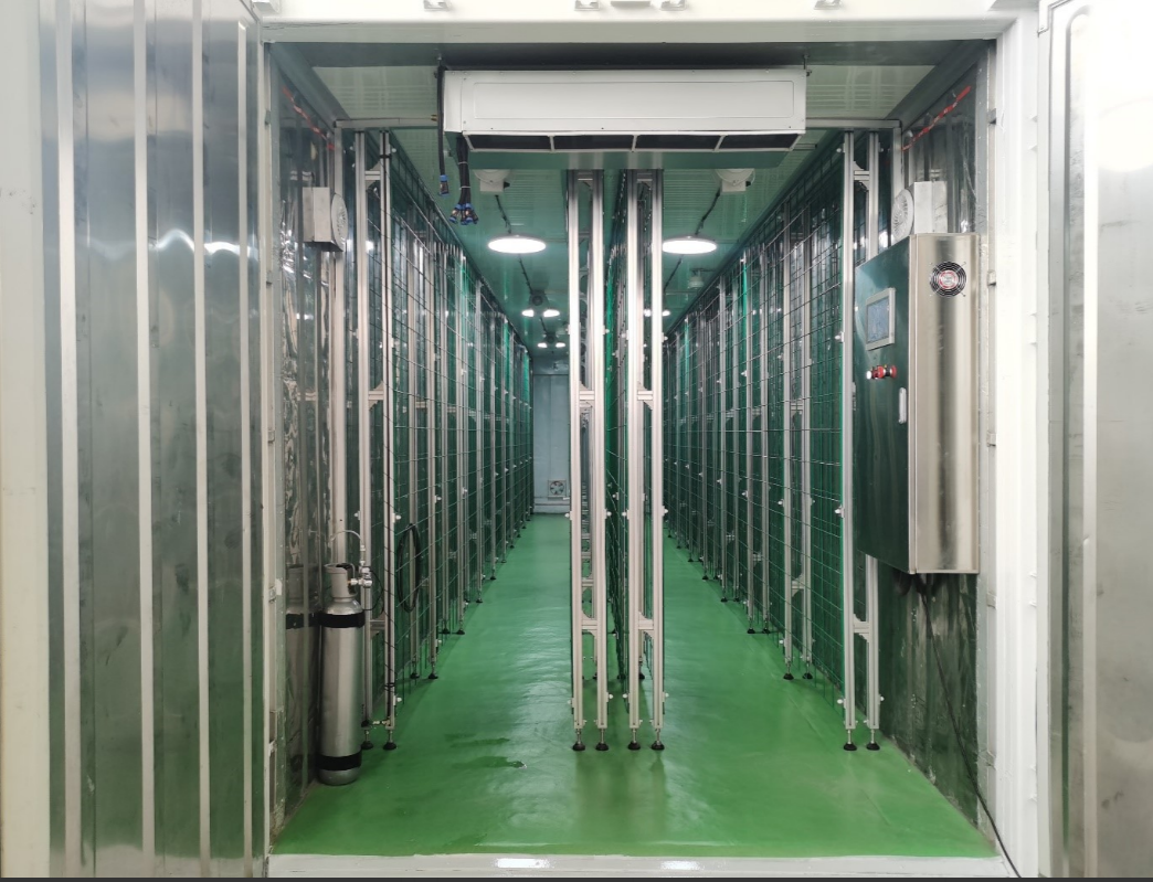 Разработка бизнес-плана по организации производства выращивания шампиньонов в условиях Египта