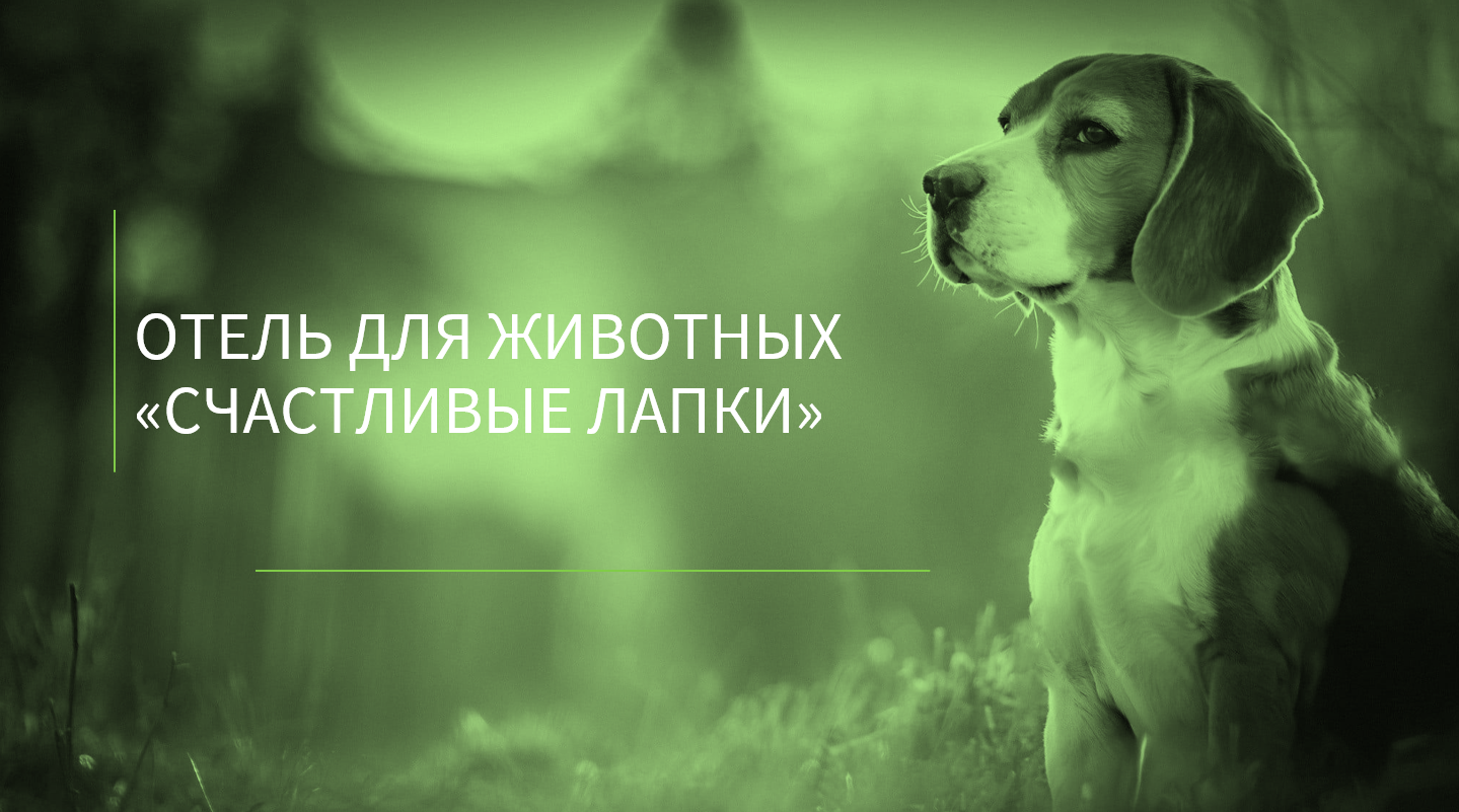 Презентация