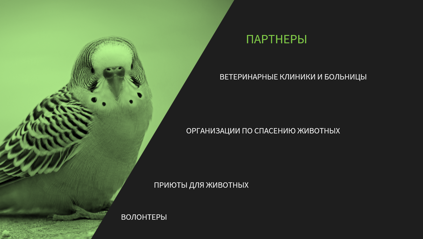 Снимок экрана 2025-03-26 183722.png