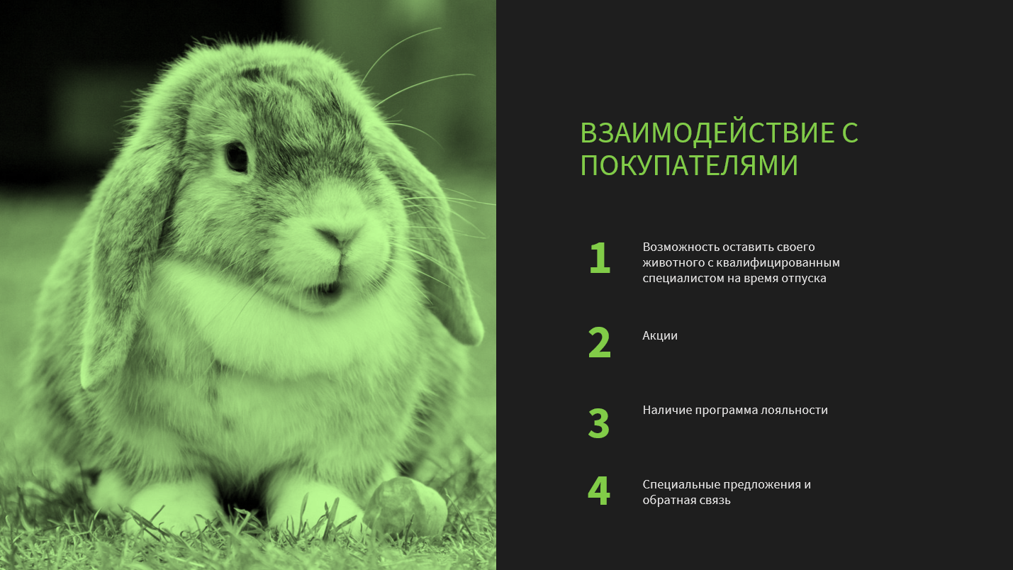 Снимок экрана 2025-03-26 183747.png