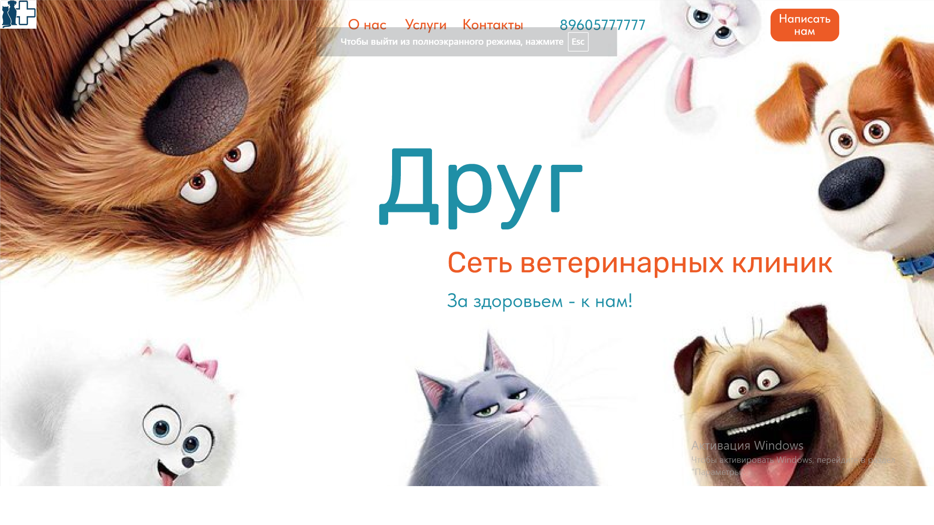 Сайт ветеринарноой клигики