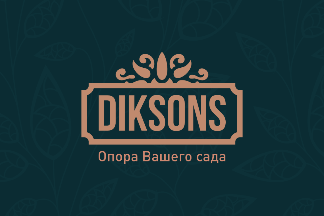Логотип Диксонс