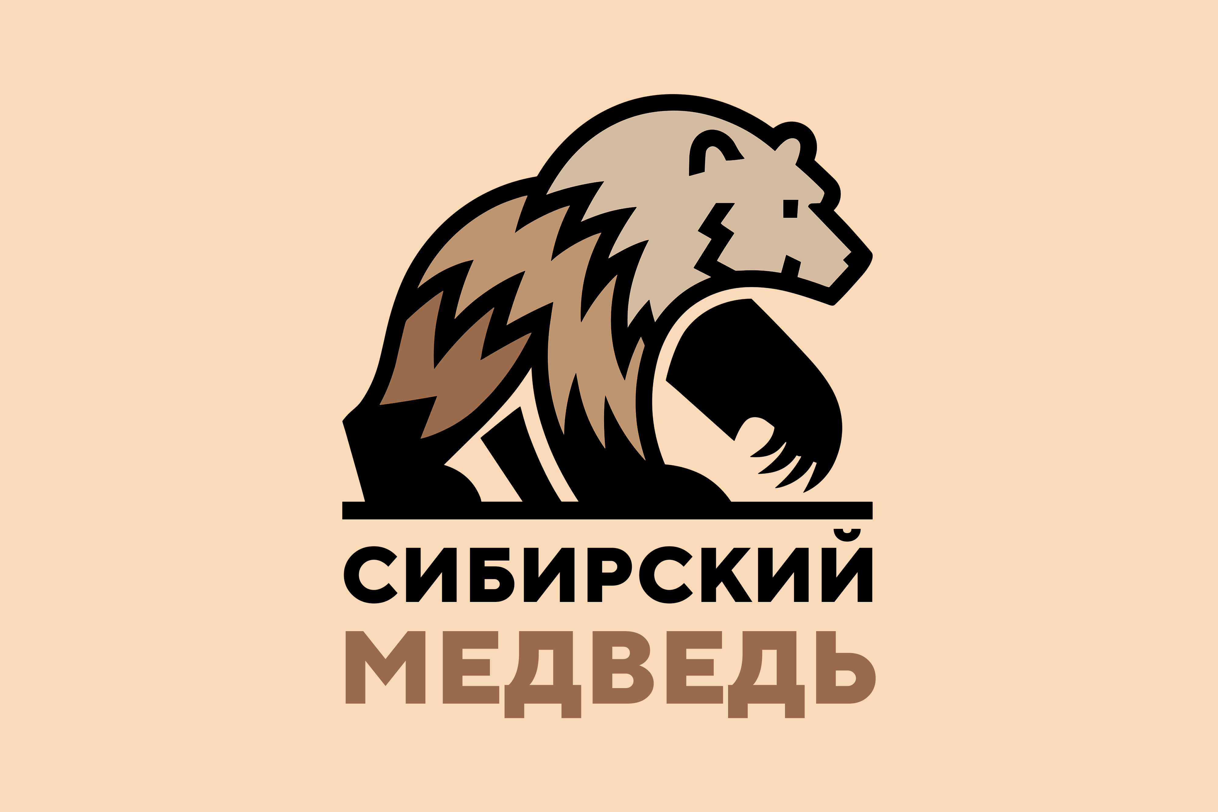 rm410-1Сибик1a.jpg