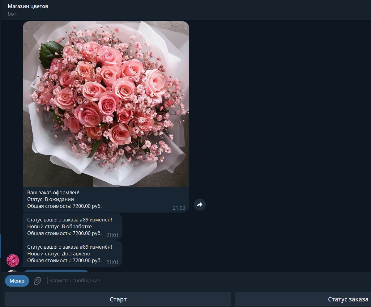 Бот1.JPG