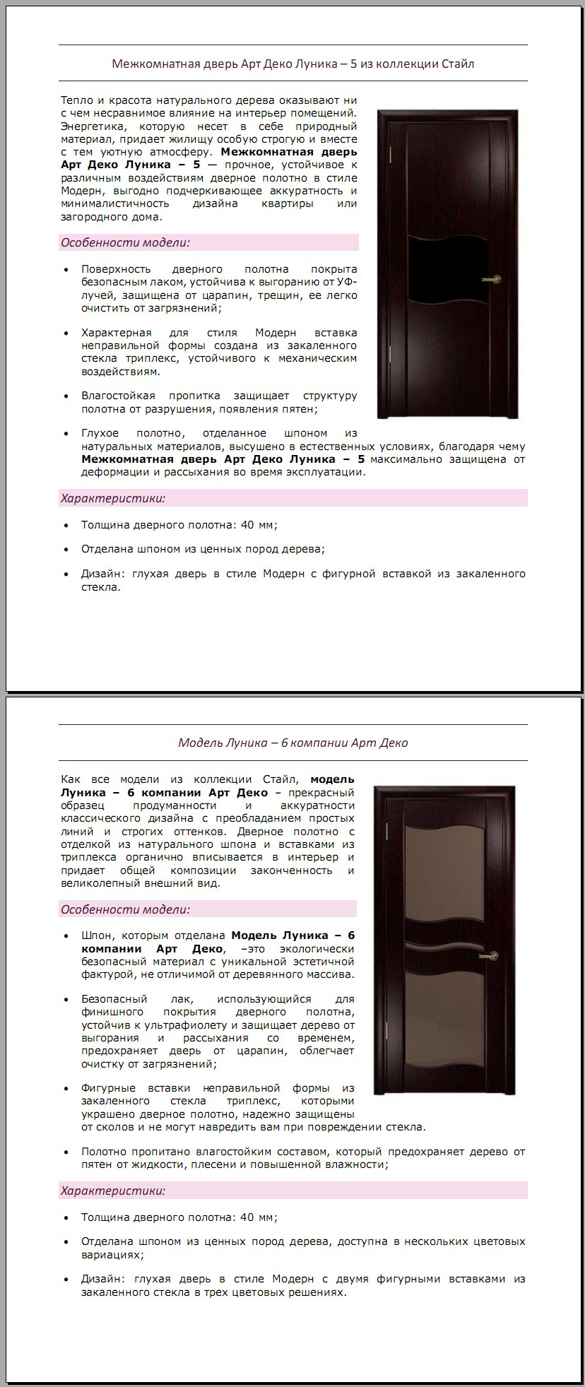 двери луника.jpg