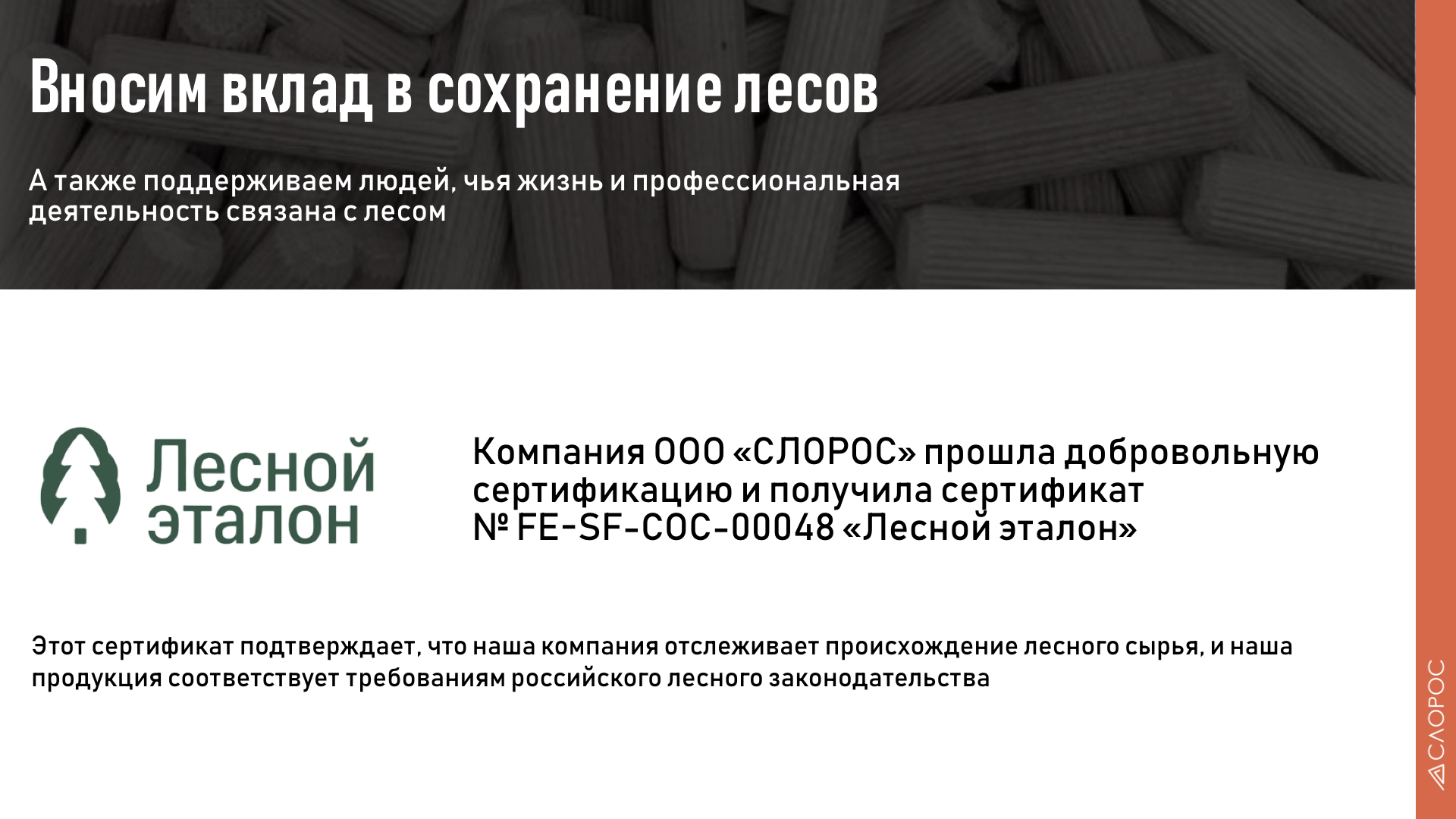 Слорос.009.jpg