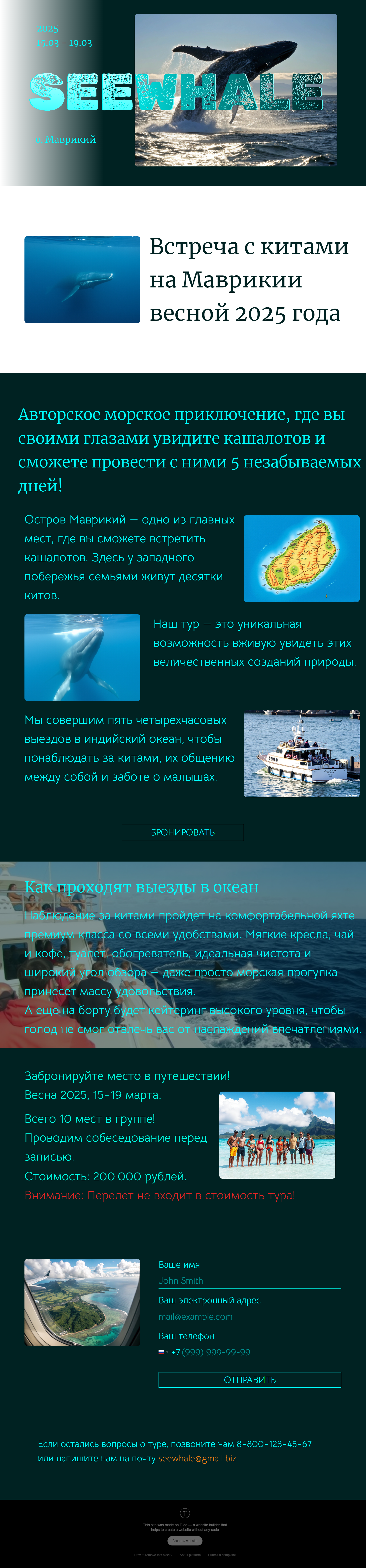 Seewhale.png