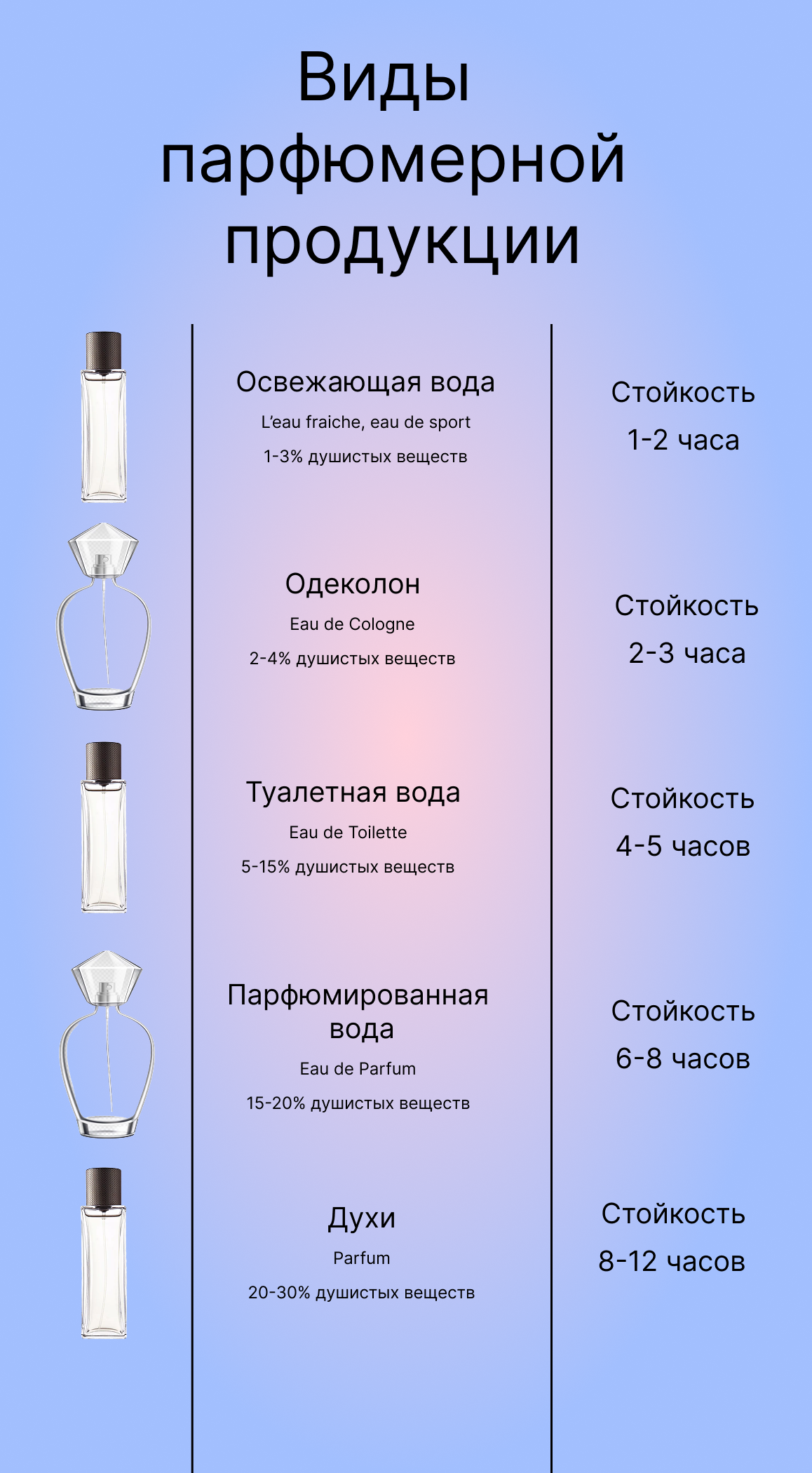 Инфографика
