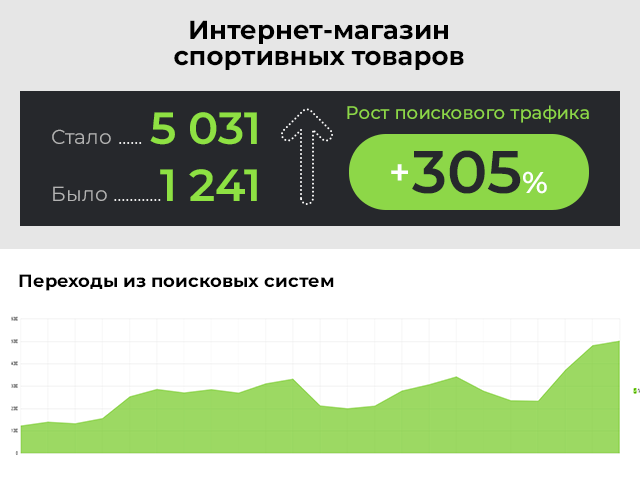SEO-продвижение интернет-магазина спортивных товаров