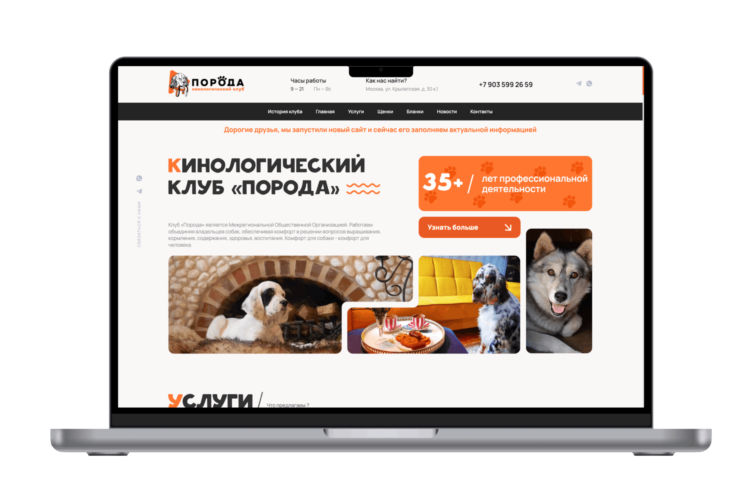 Айдентика. Сайт.  Кинологический клуб «Порода»