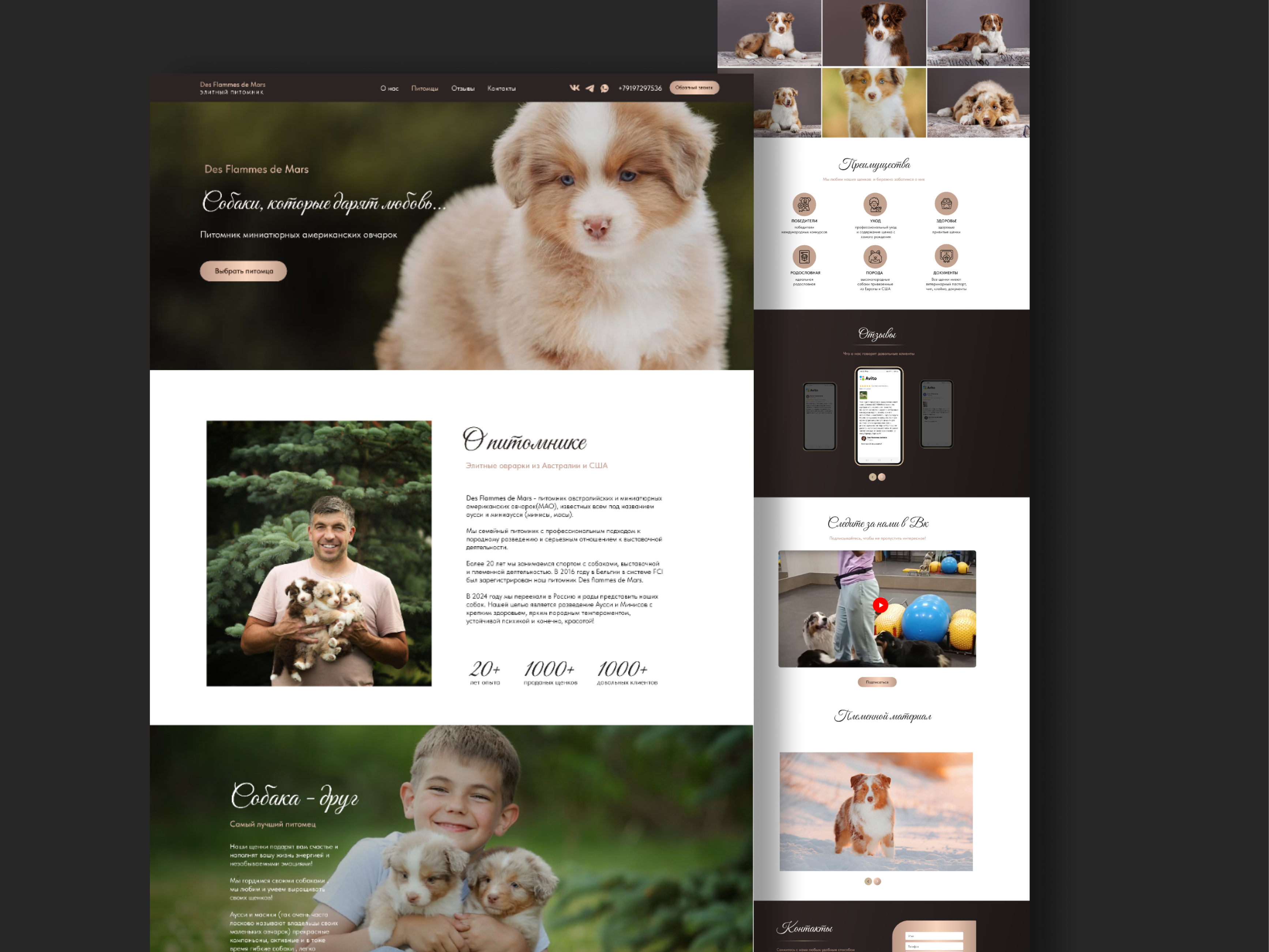 Frame 1000000858.png