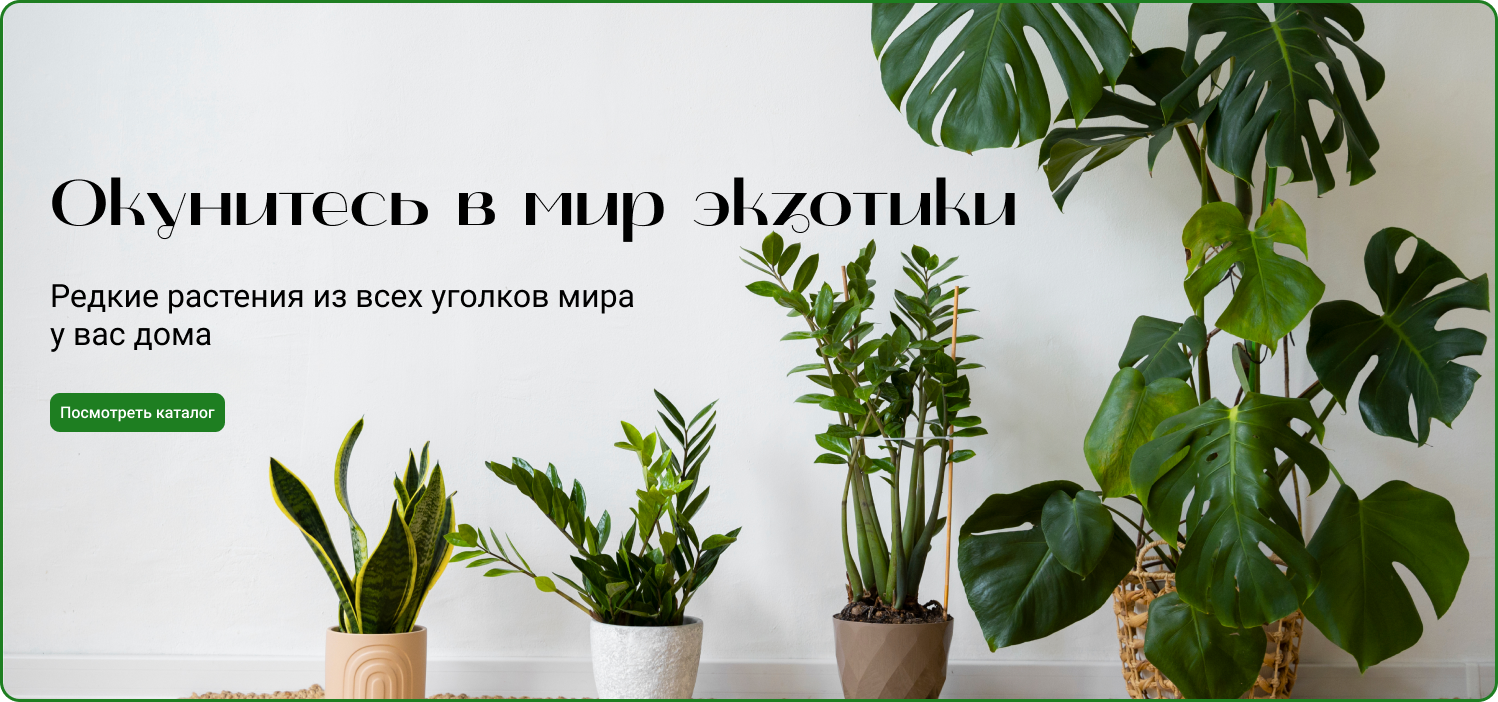 Дизайн-разработка интернет магазина