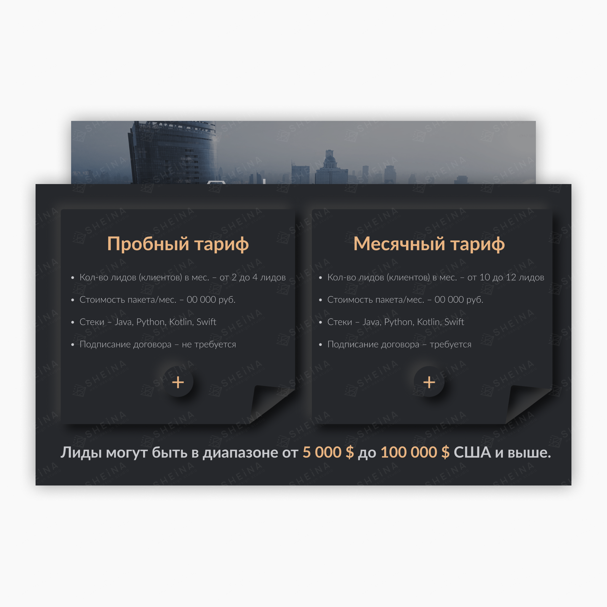Презентация для Leads IT (поиск разработчиков по технологиям)