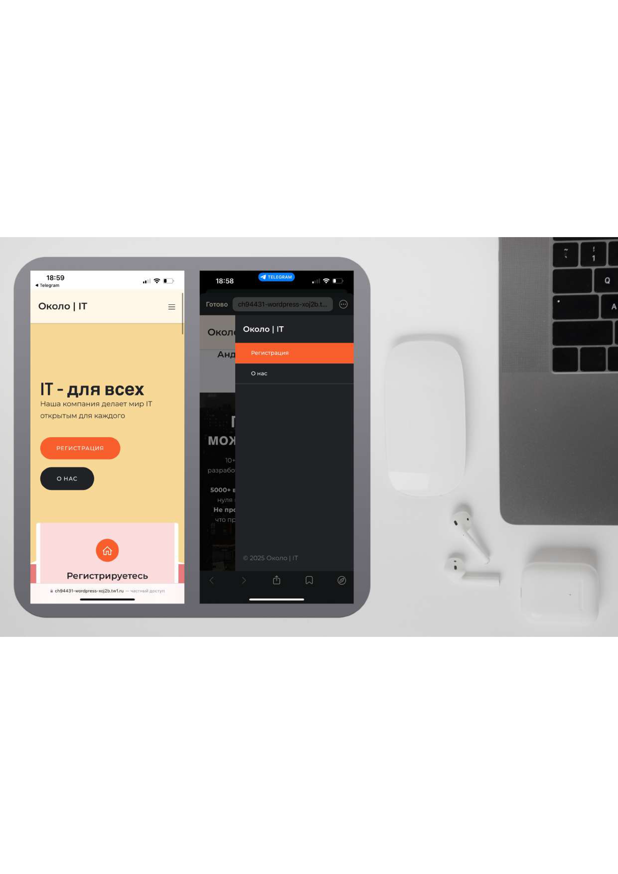 портфолио_page-0003.jpg