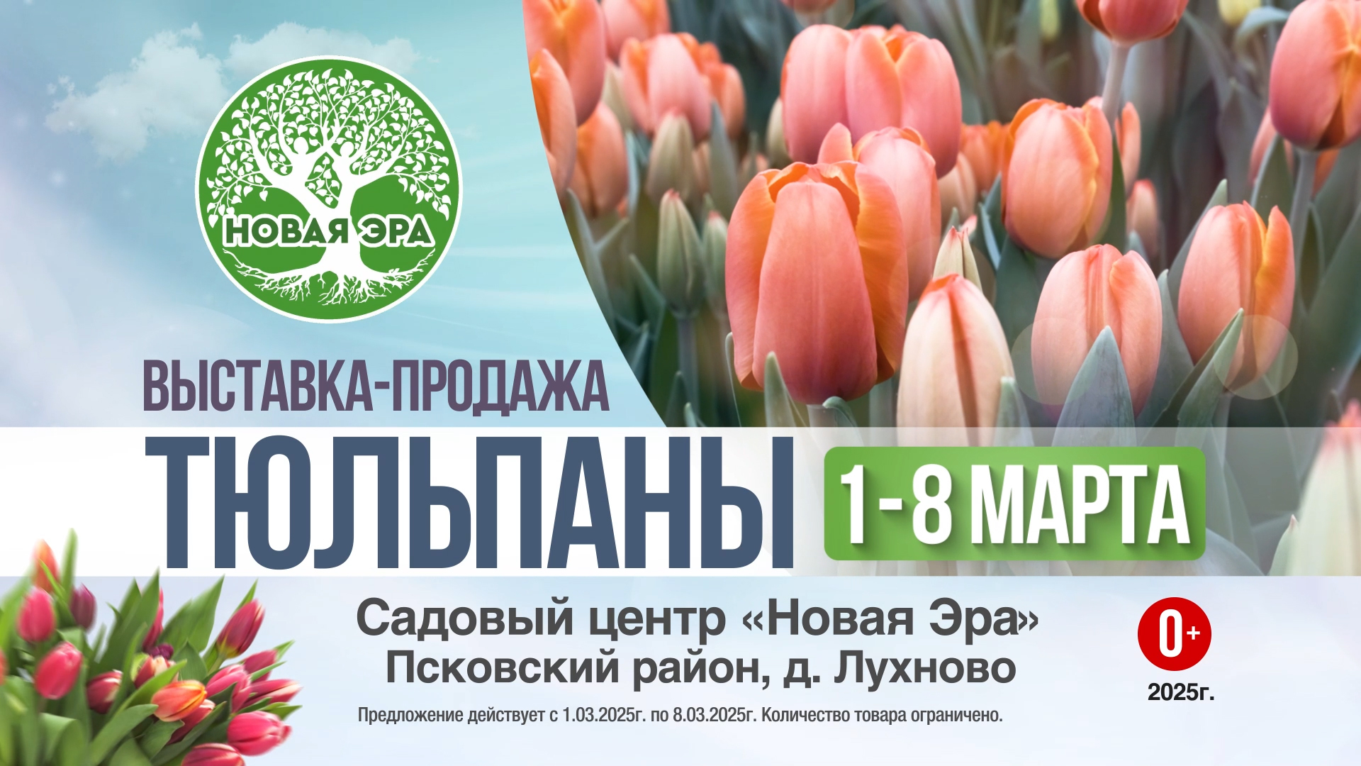 Новая Эра Тюльпаны 15 сек copy.jpg