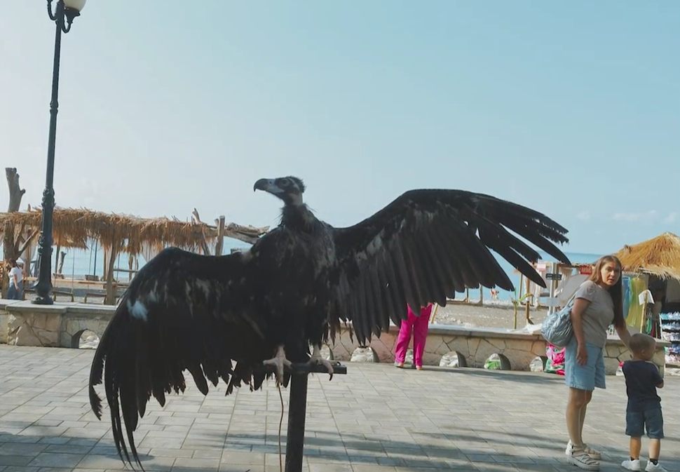 Скриншот 08.04.25_20.09.16.png