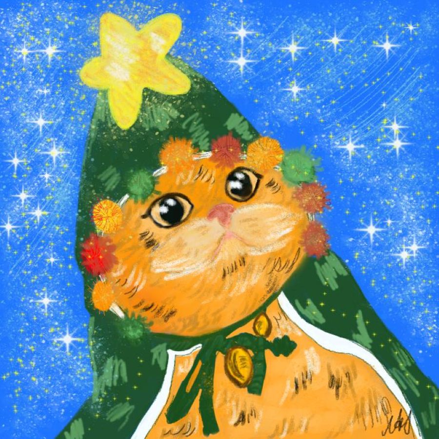 кот пальто 2.jpg