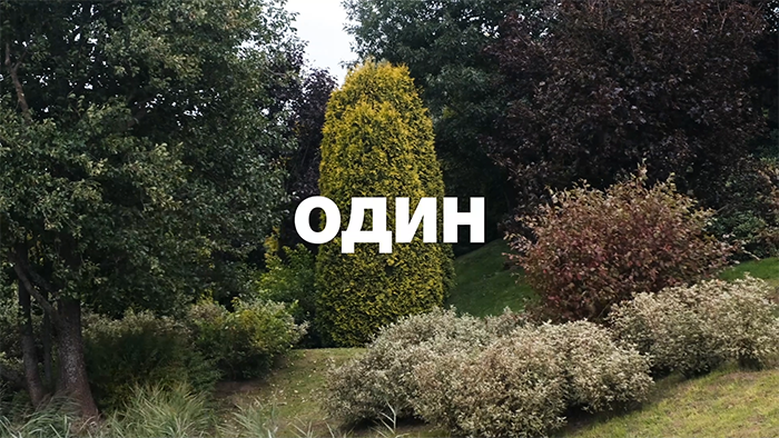 Рекламный ролик для сайта ОТК Garden