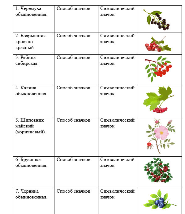 Научные статьи и практические работы для студентов и школьников, написание тексов, разработка фото, буклеты и презентации