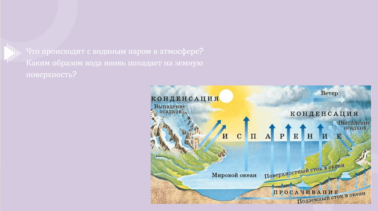 Снимок экрана 2024-08-13 133455.png