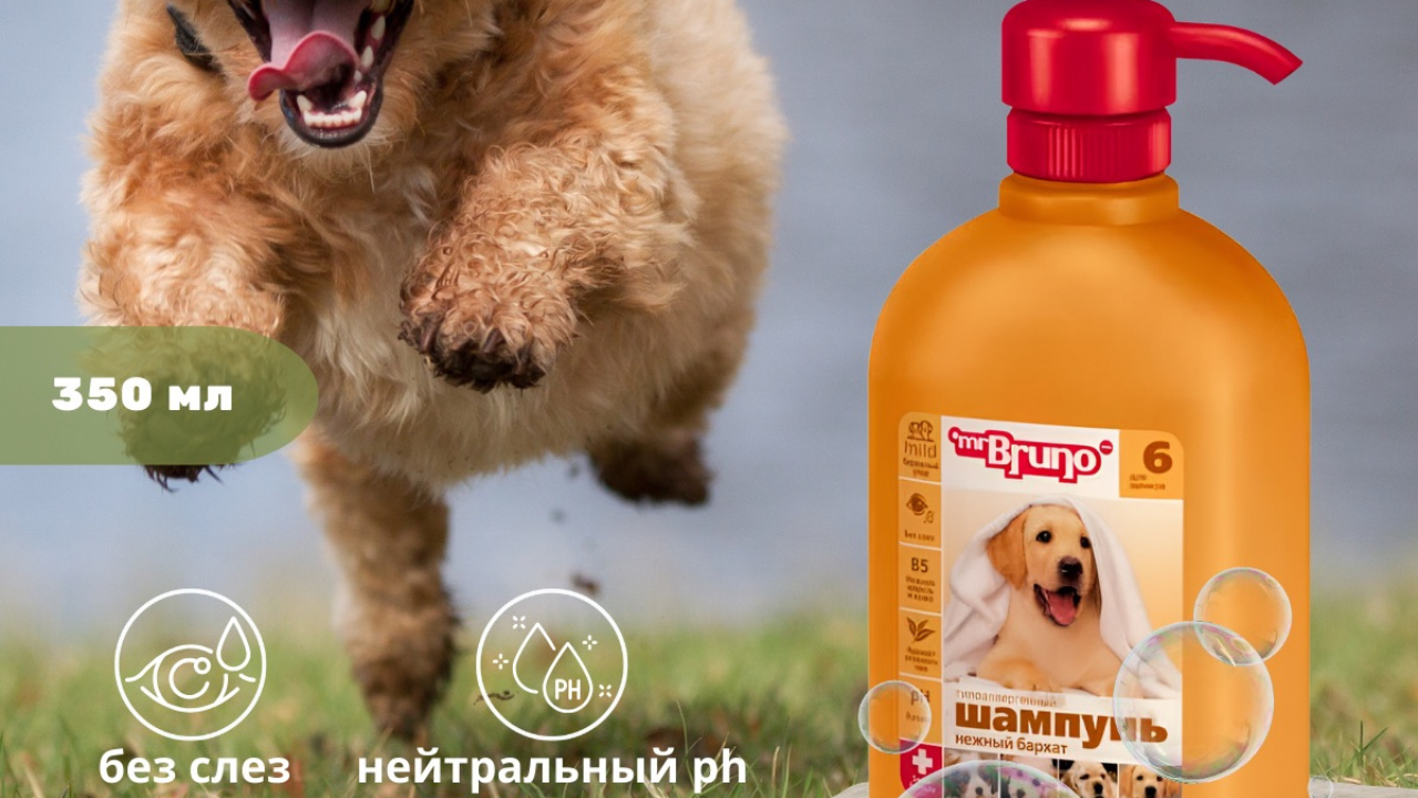 Инфографика «Шампунь для щенков»