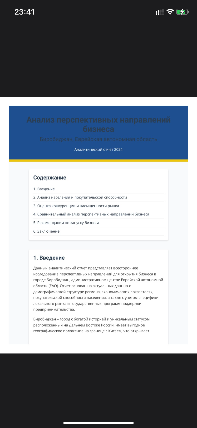 Бизнес план по городу Биробиджан (Пример моей работы) По вашему городу будет точнее
