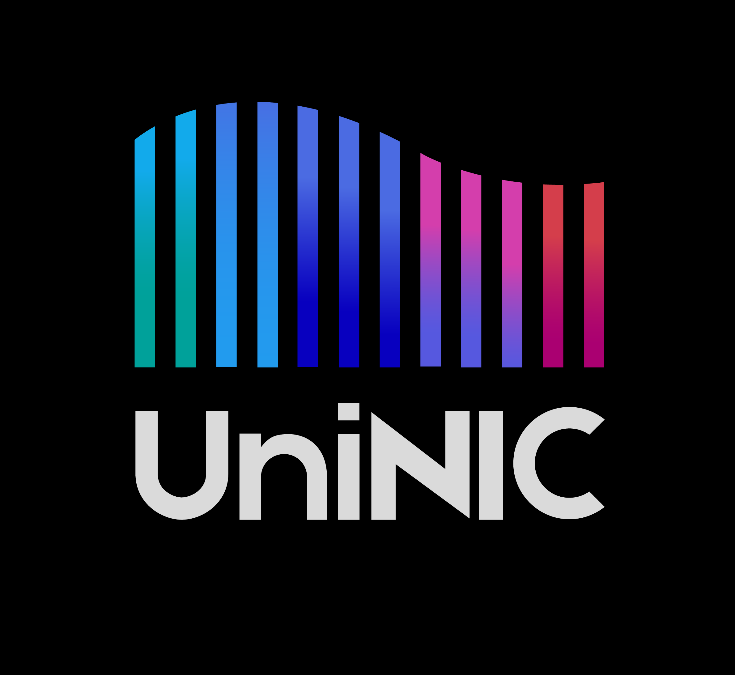 UniNIC_Монтажная область 1 копия.png