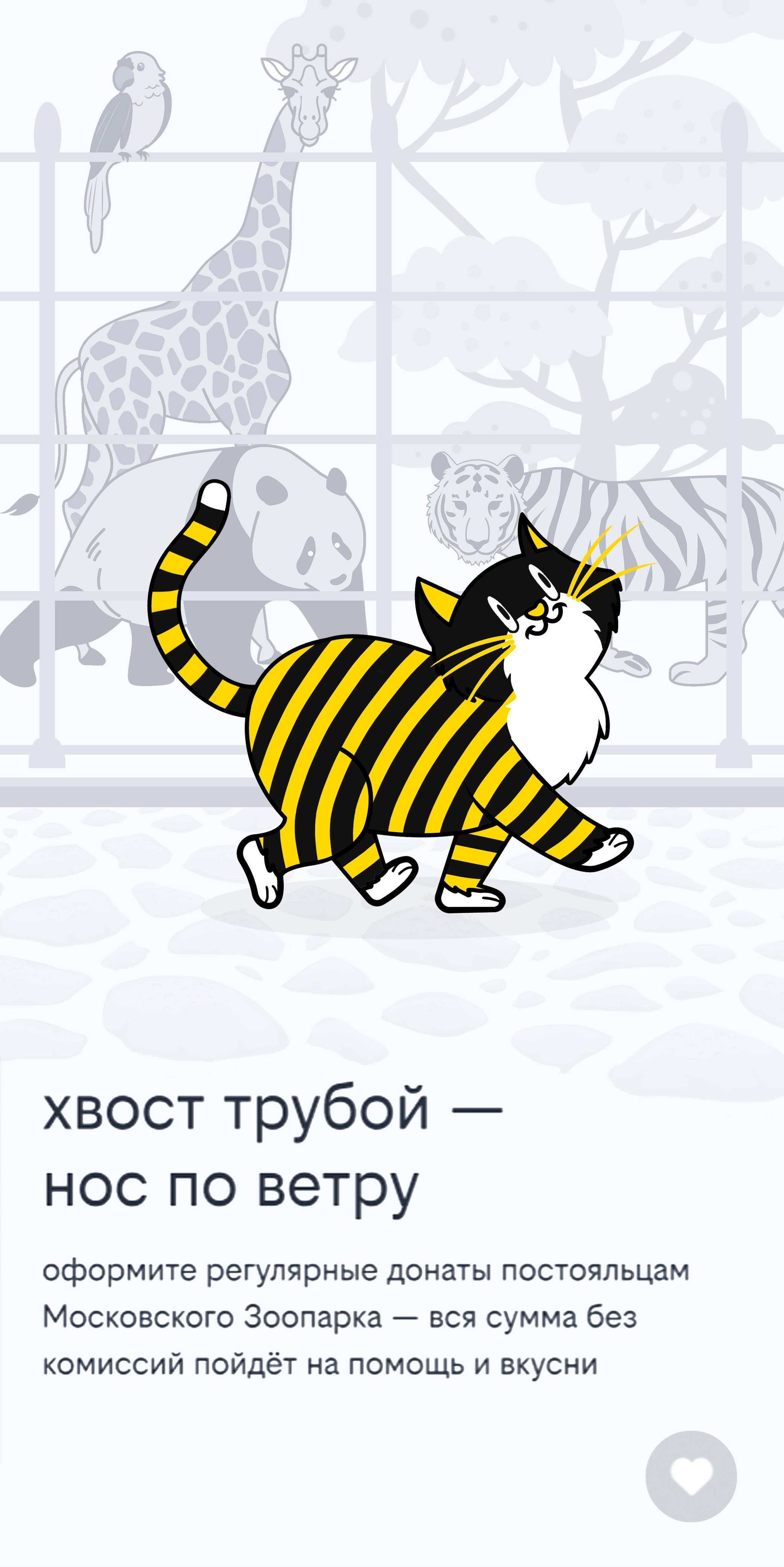 Визуал Билайн.jpg