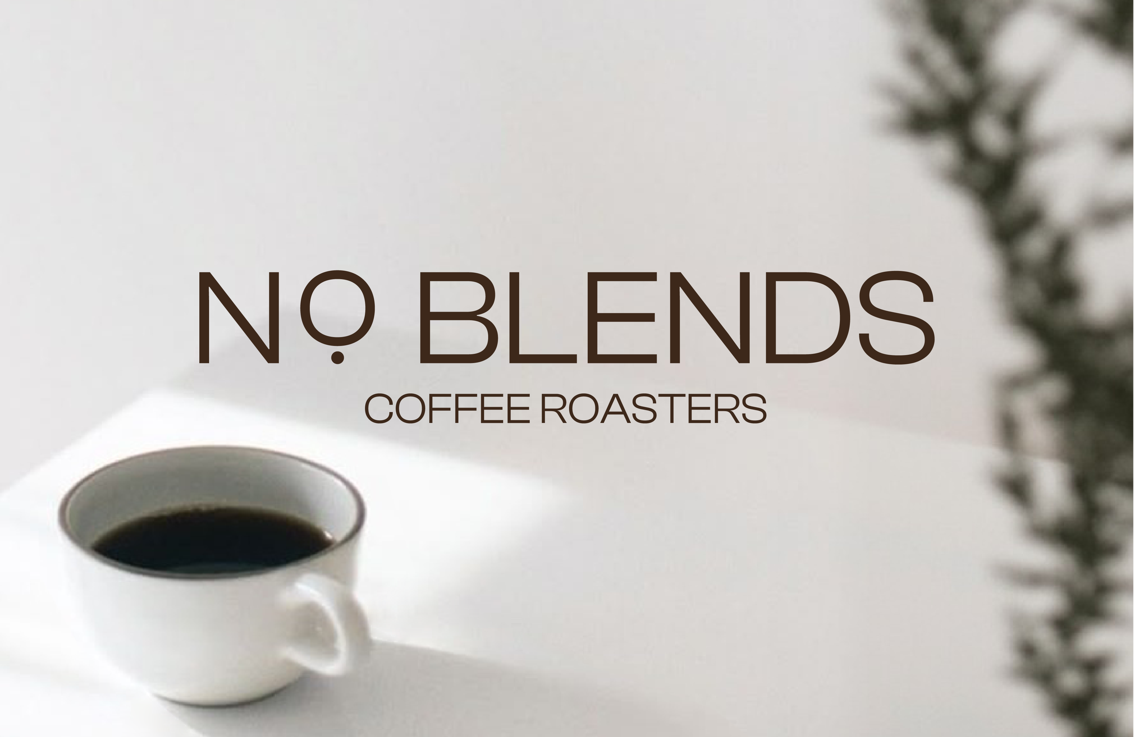 Логотип NO BLENDS