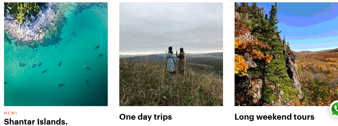 Screenshot 2022-06-29 at 17-47-18 Wildlife Travel Agency.png
