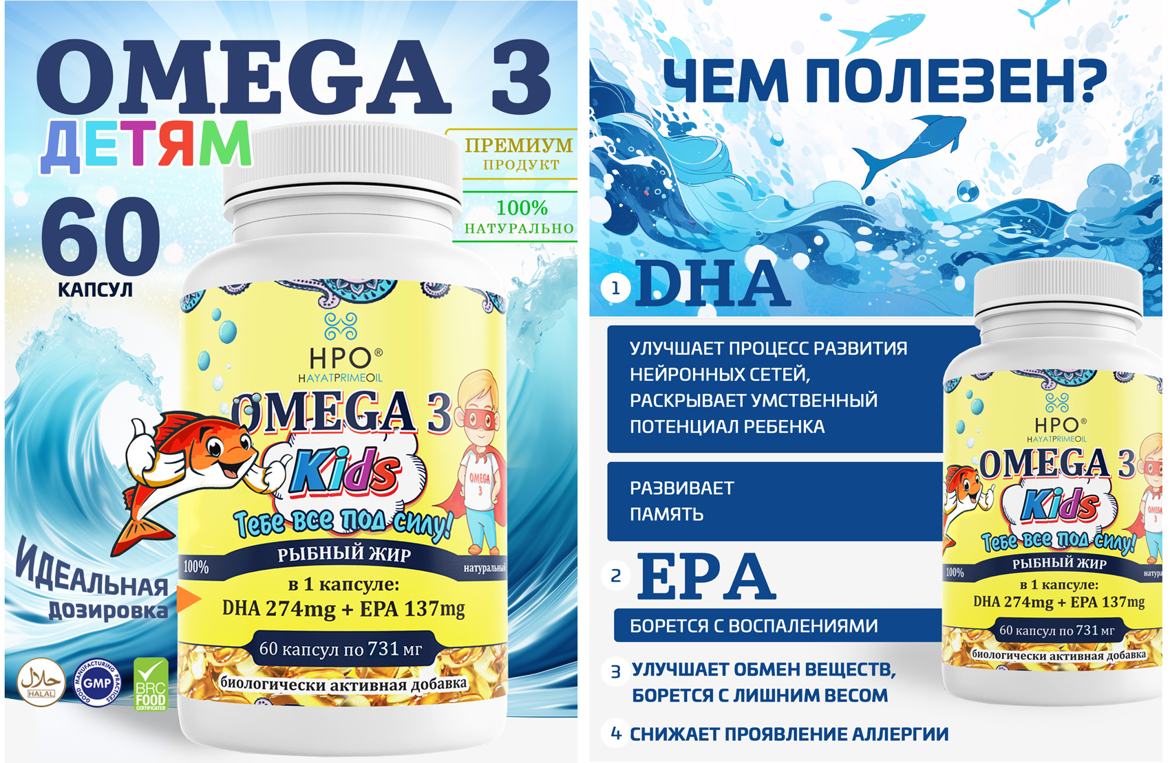 omega-all.jpg