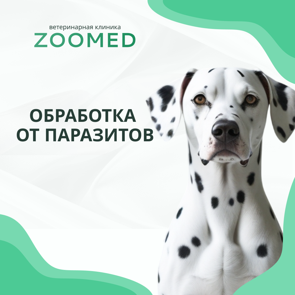 Товар обработка.png