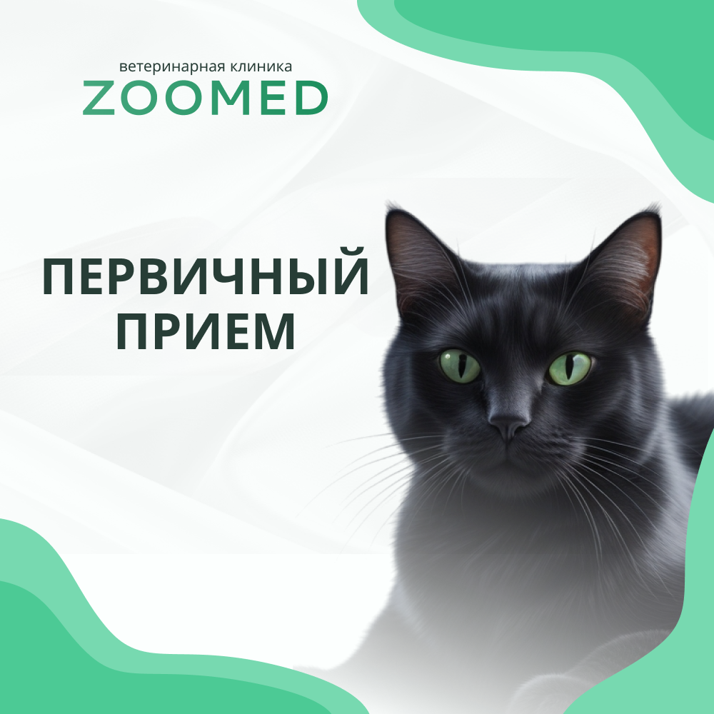 Товар Первый прием.png