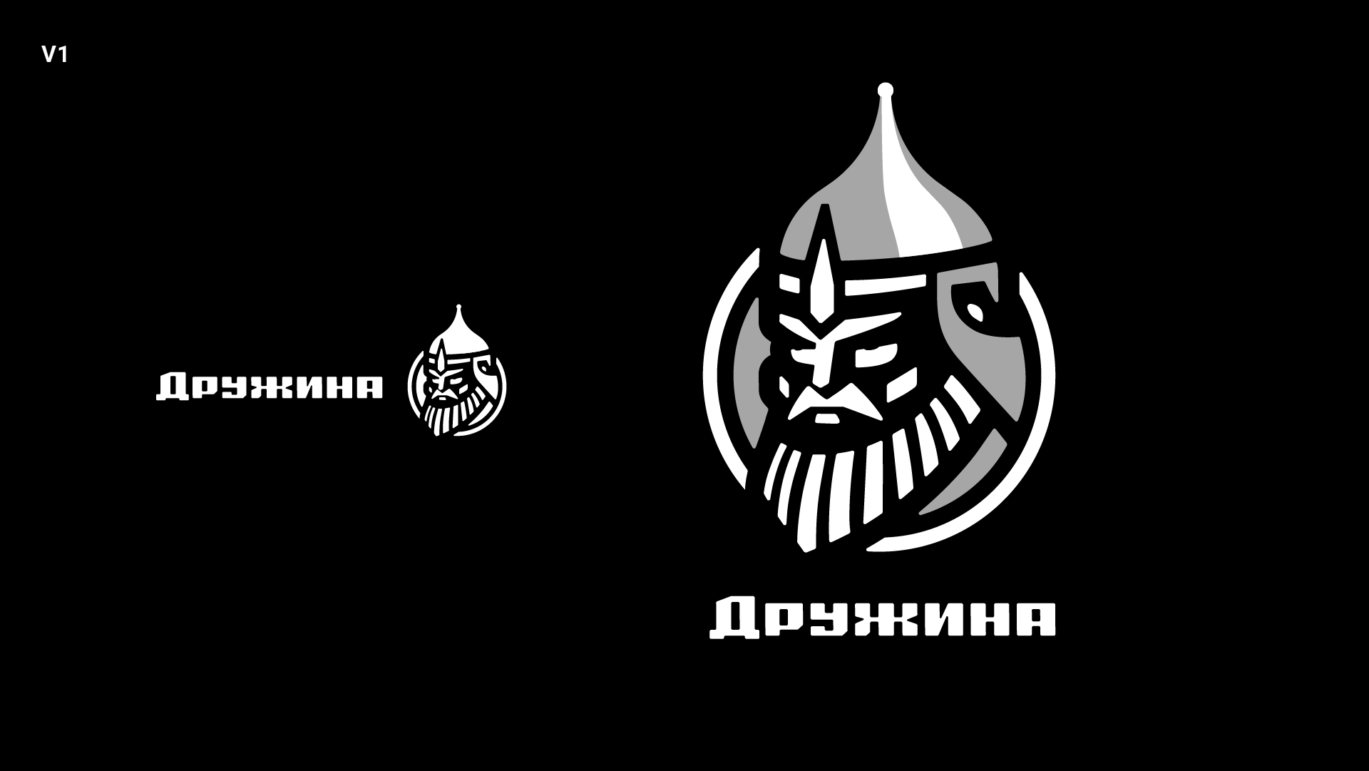 ДРУЖИНА-логотип-1-2.jpg