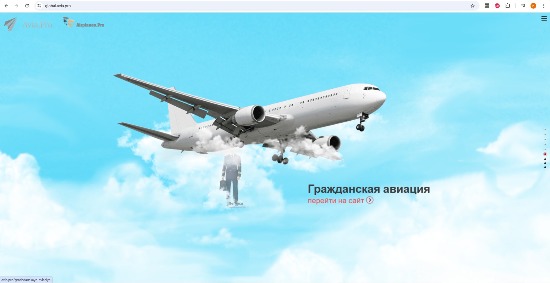 avia_image2.jpg