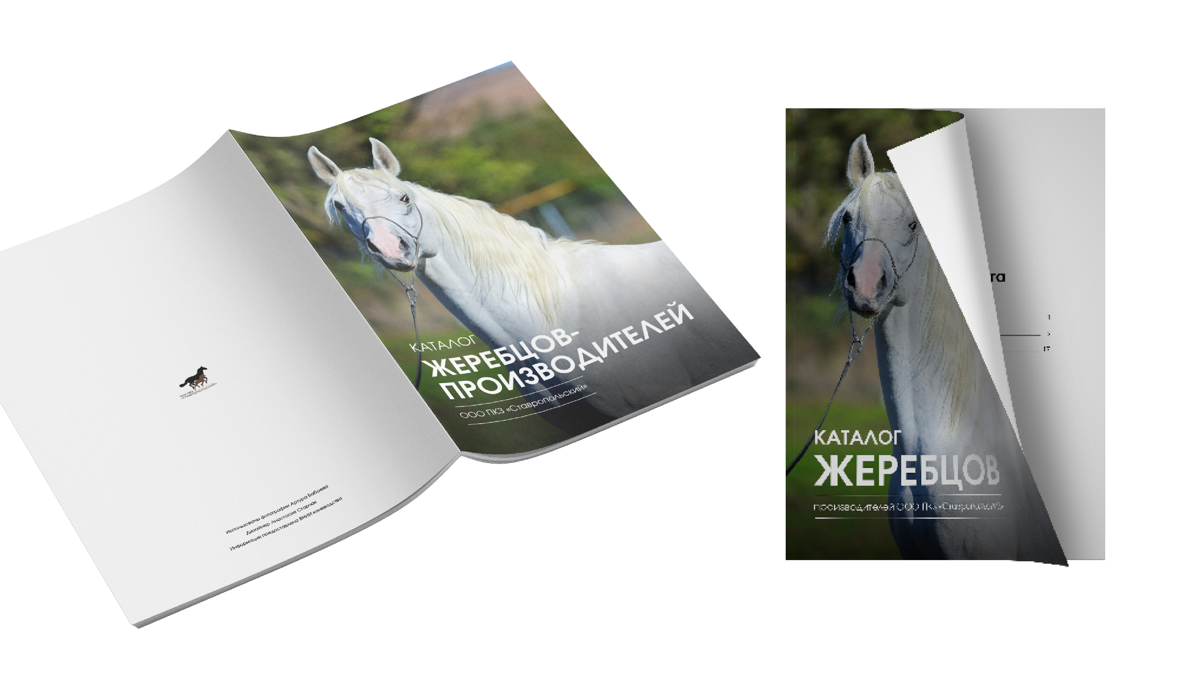 преза каталог_Монтажная область 1 копия.jpg