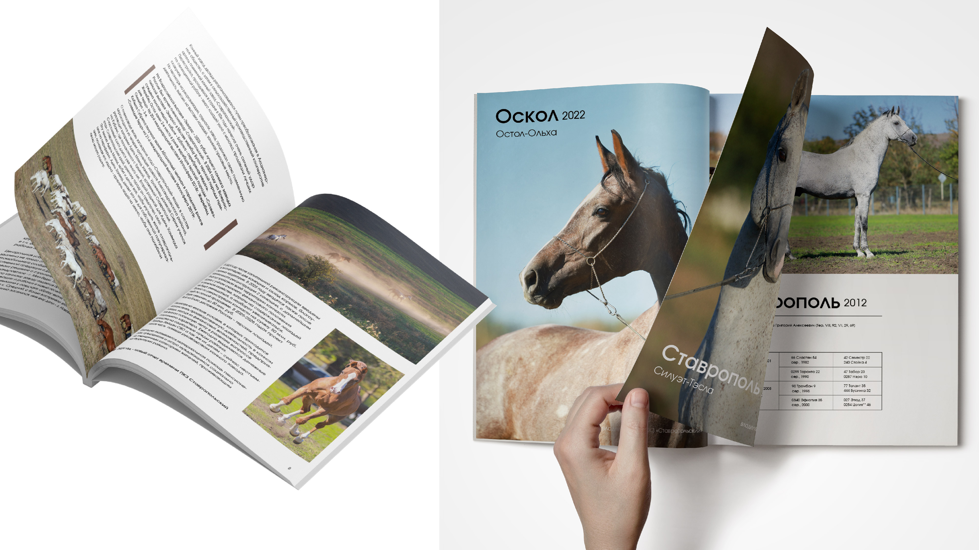 преза каталог_Монтажная область 1 копия 3.jpg