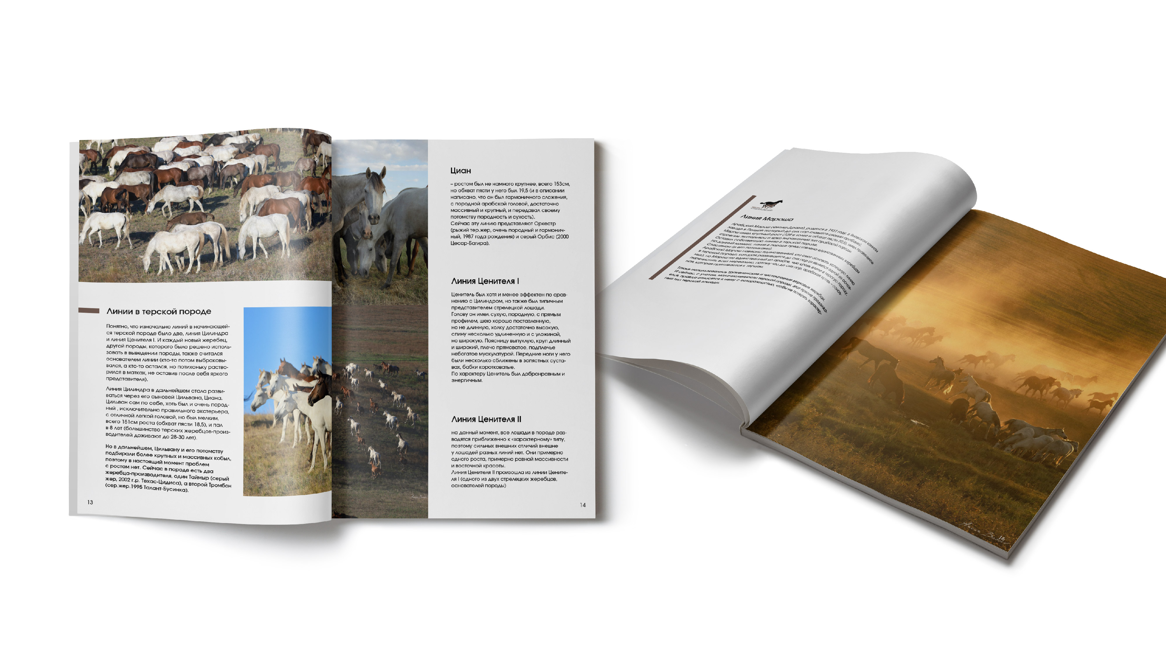 преза каталог_Монтажная область 1 копия 5.jpg