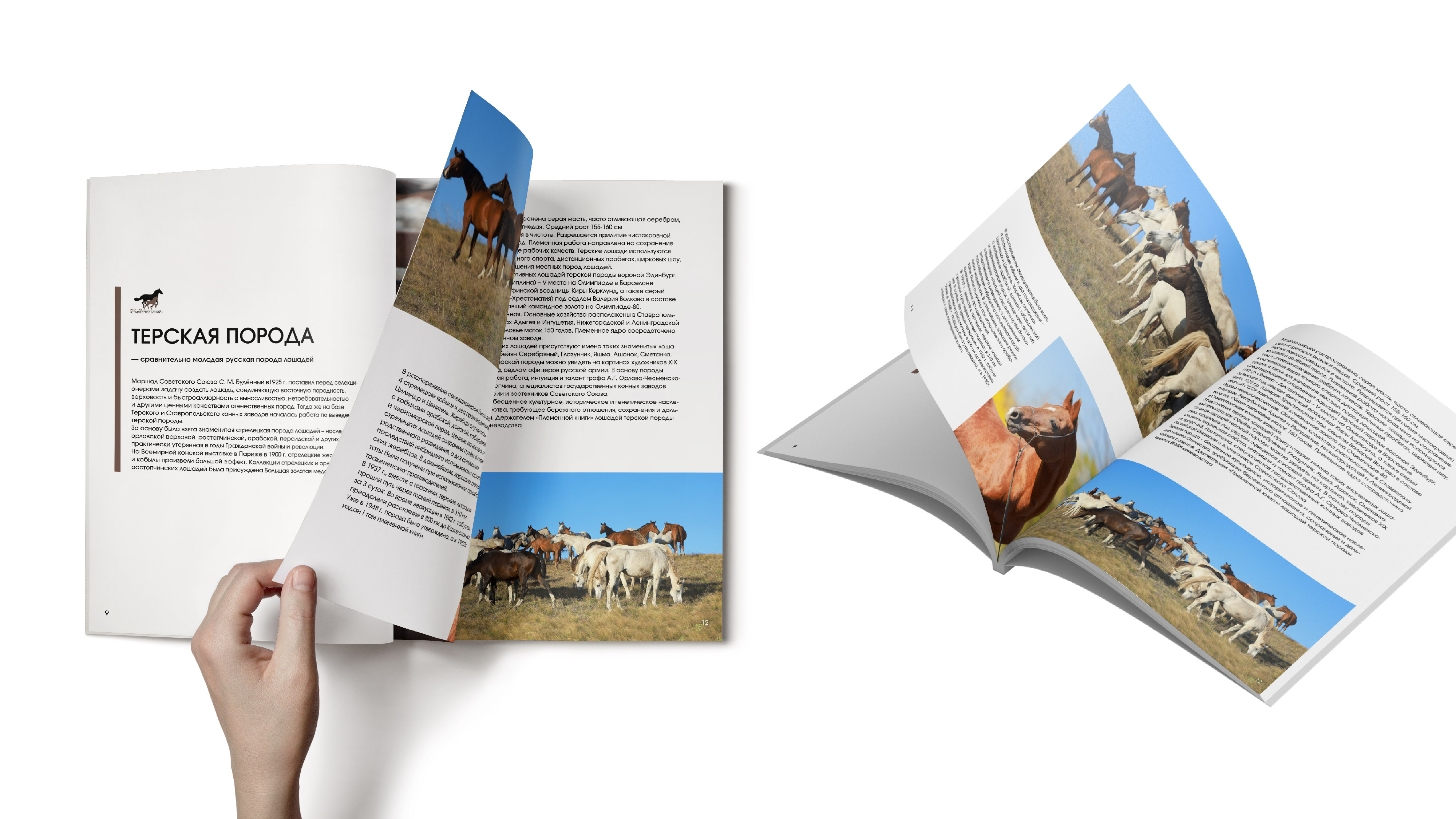 преза каталог_Монтажная область 1 копия 4.jpg