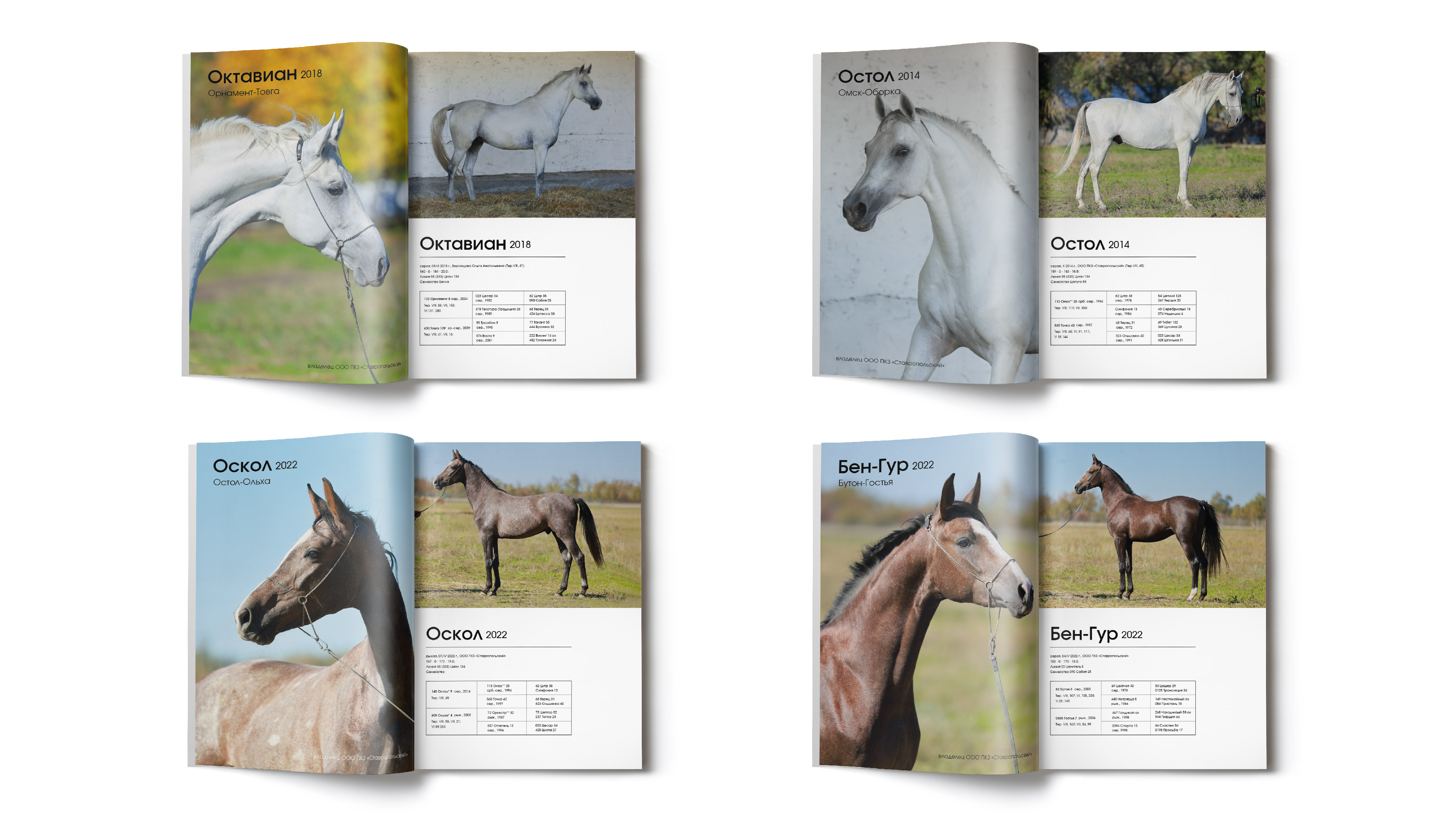 преза каталог_Монтажная область 1 копия 9.jpg