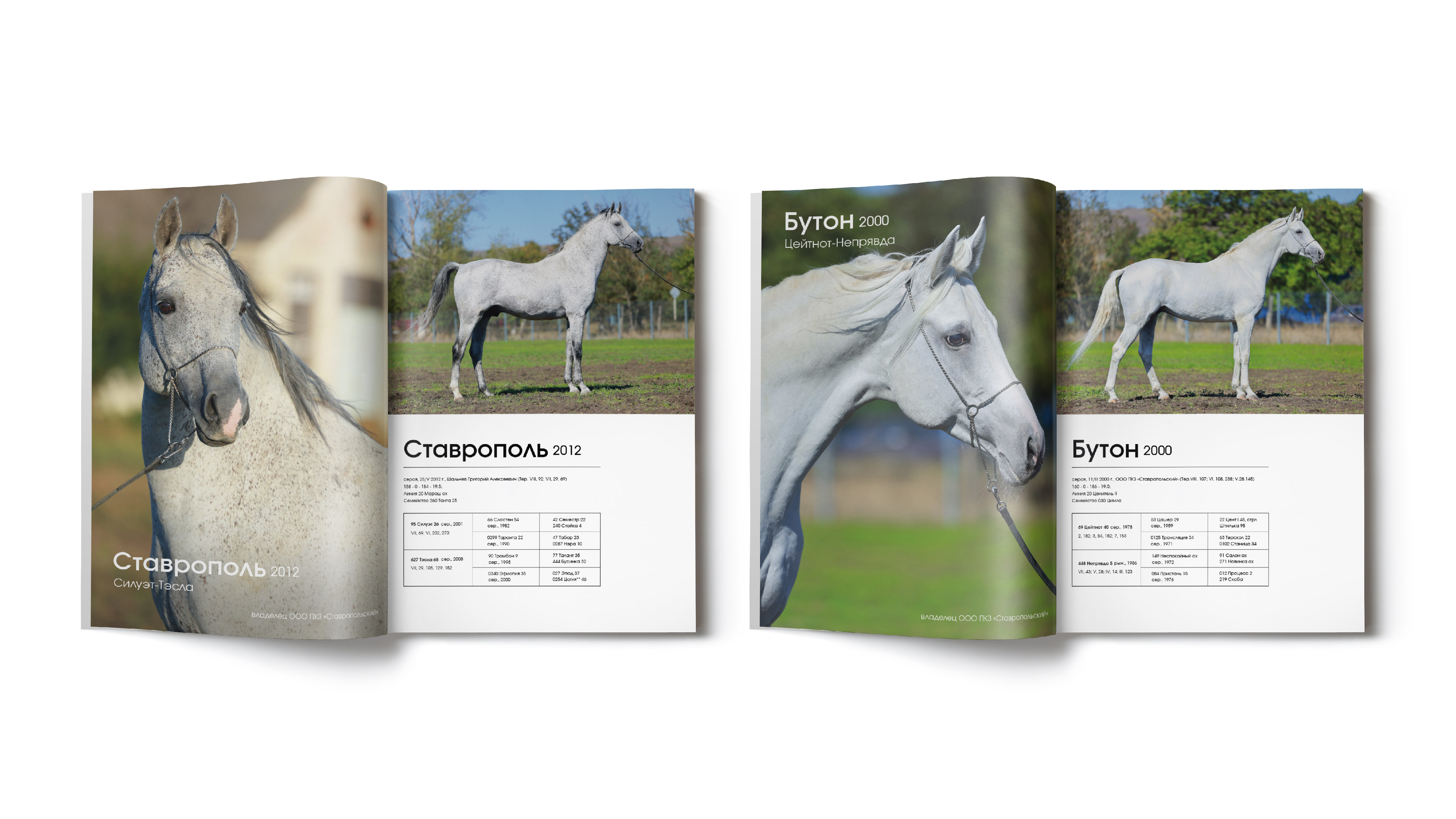 преза каталог_Монтажная область 1 копия 10.jpg