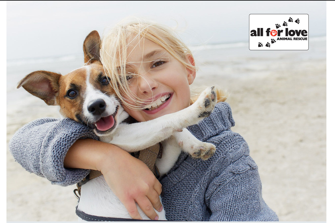 Сайт для магазина для животных