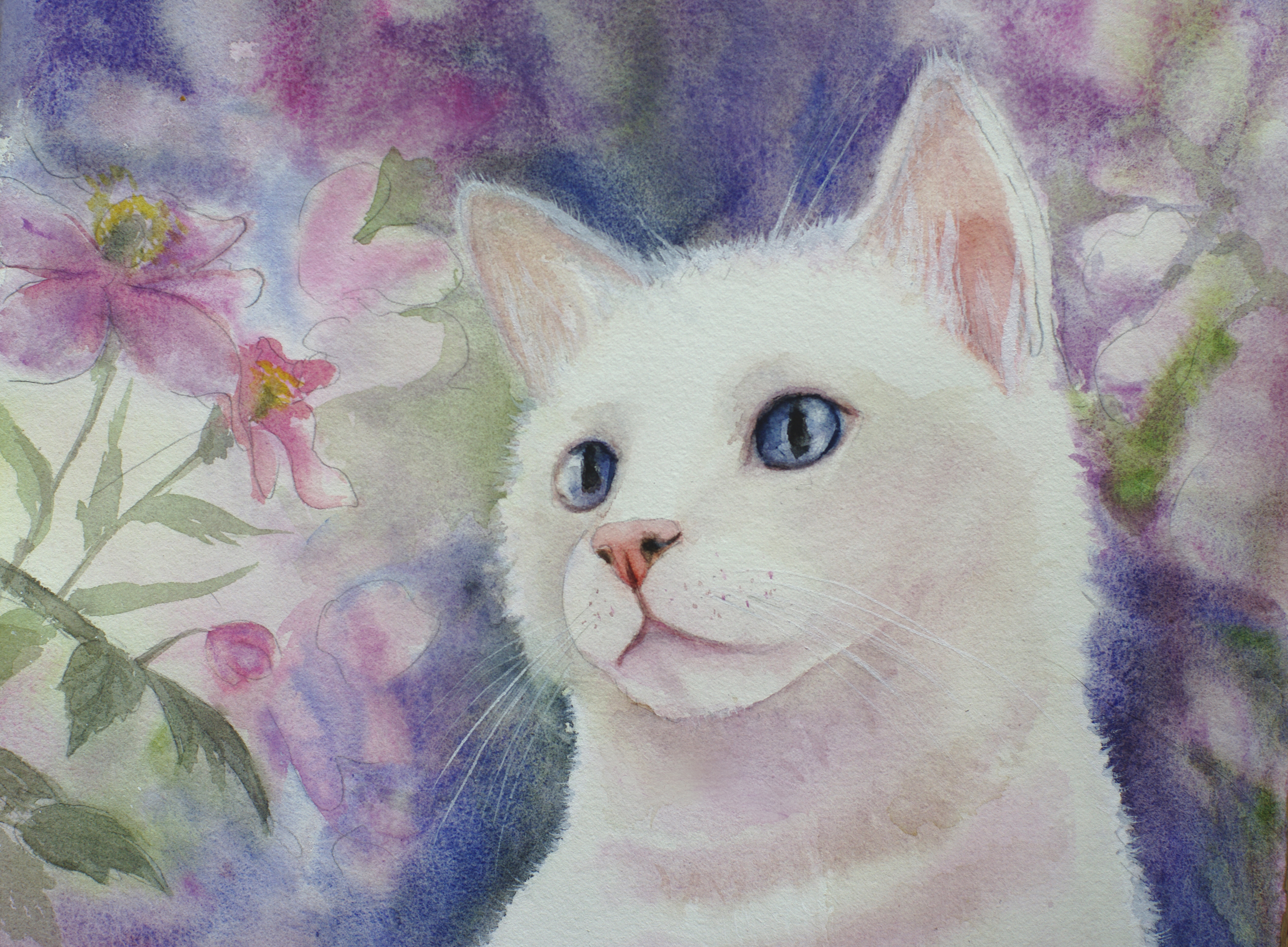 кот1.jpg