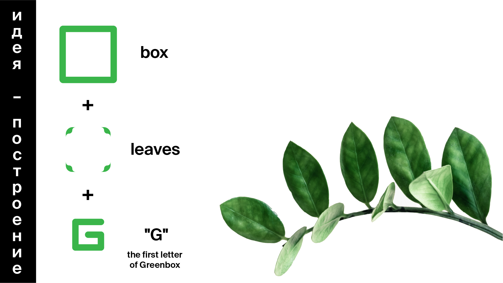 Монтажная область 1 копия-100.jpg