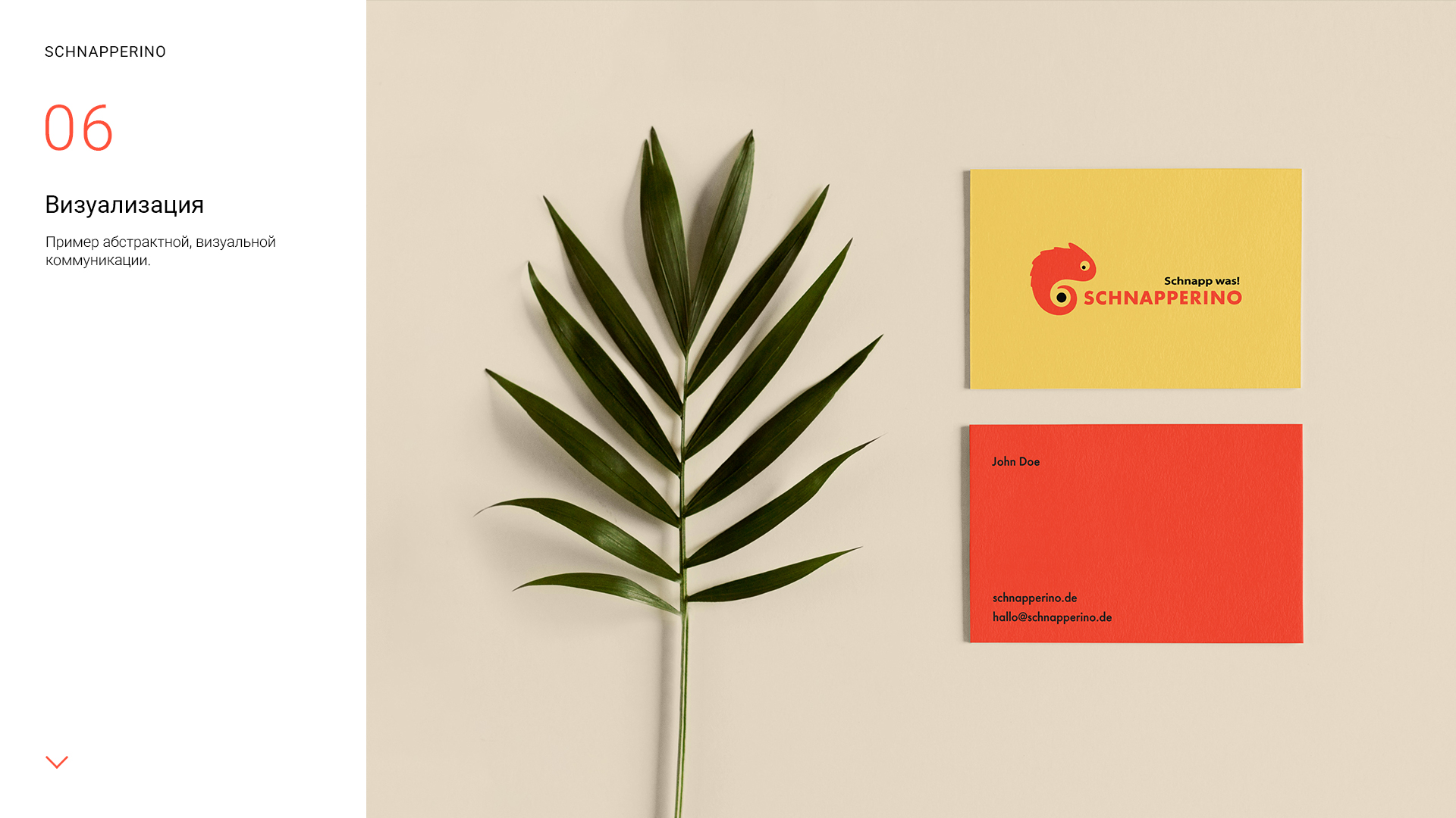 Schnapperino_logo_presentation_4-6.jpg