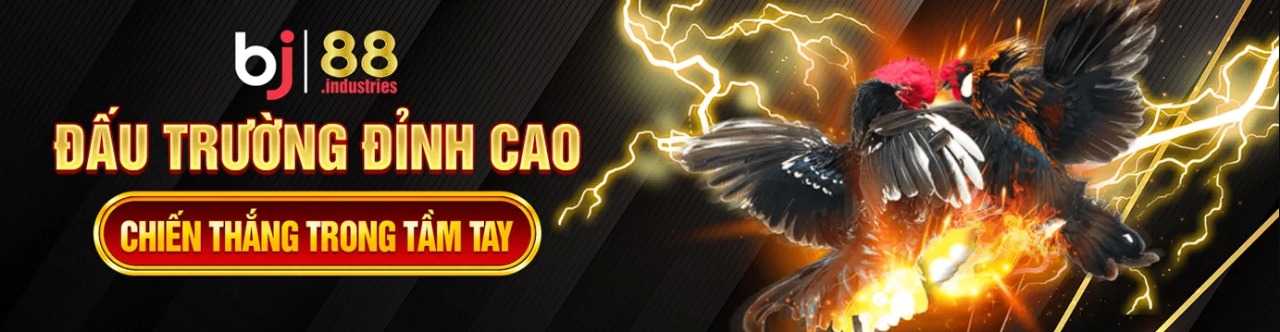 banner.jpg