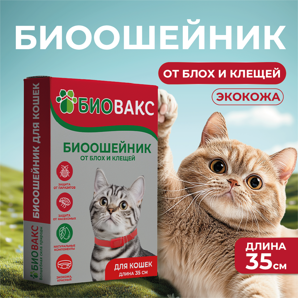 Карточка 1.png