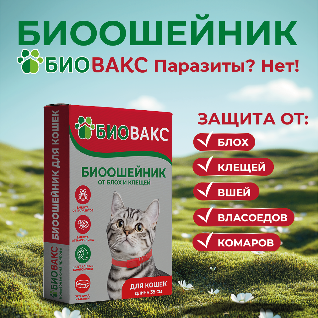 Карточка 2.png